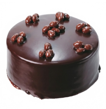Butik Lezzet Serisi 6-9 Kişilik Çikolatalı Yaş Pasta pasta